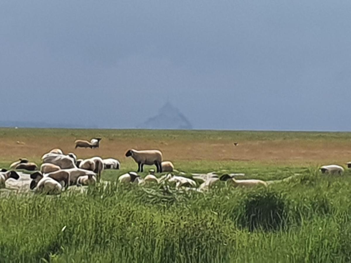 Studio Privatif Et Sa Piscine Aux Agapanthes De Cromel - Le Mont Saint-Michel Βίλα Εξωτερικό φωτογραφία